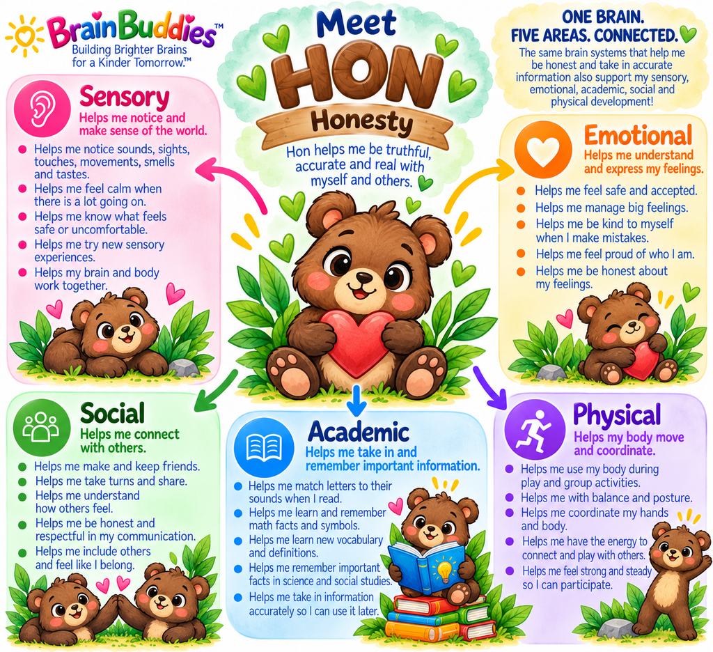Hon the brown bear, Brain Buddy for Honesty, educational character artwork