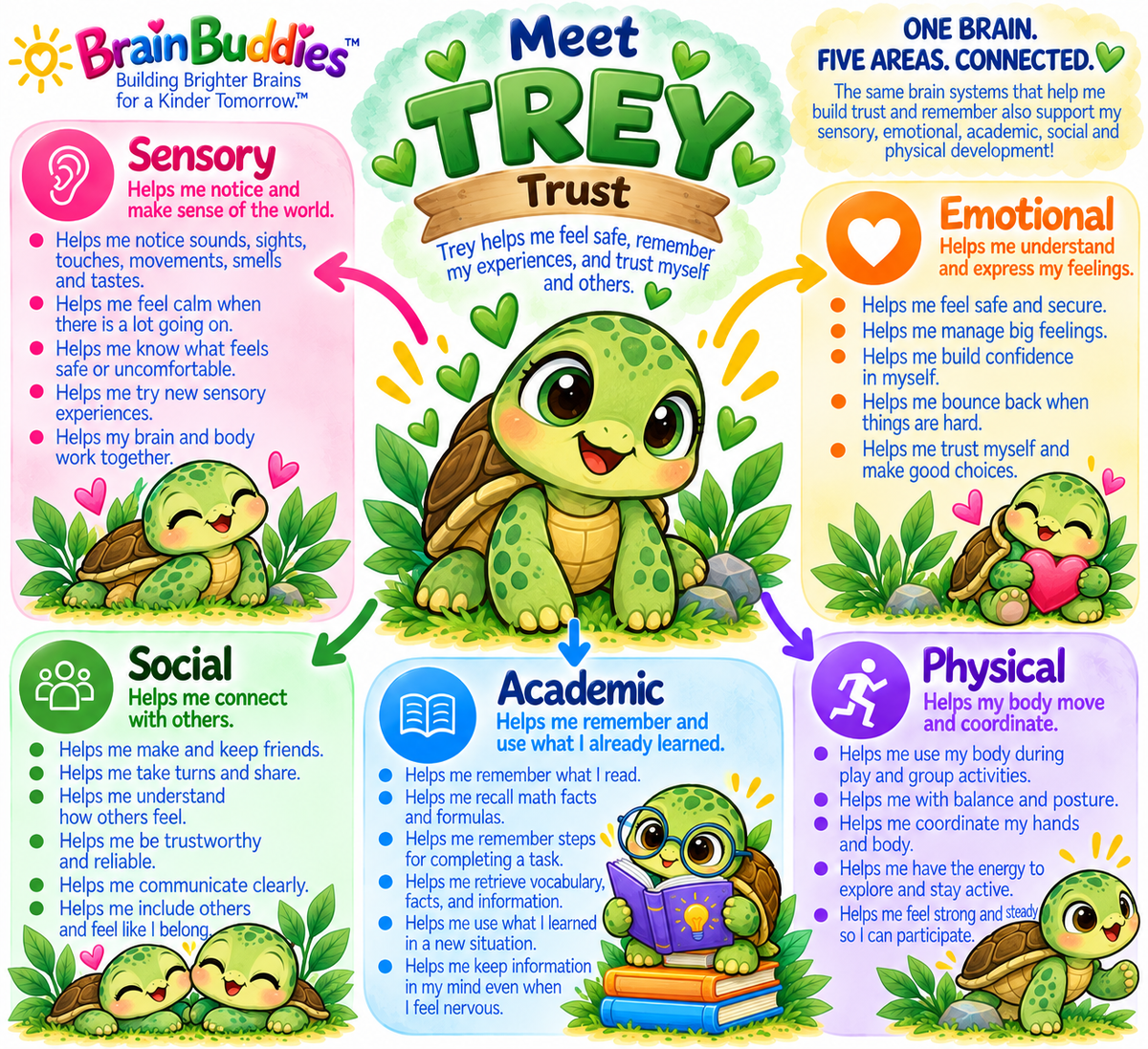 Trey the green turtle, Brain Buddy for Trust, educational character artwork